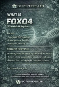 FOXO4-DRI: Research into Senescent Cell Clearance Pathways