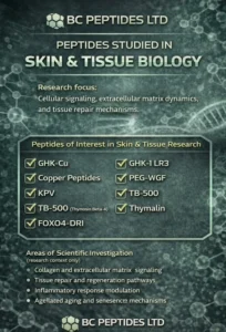 Laboratory Quality Control Standards for Peptide Research Compounds