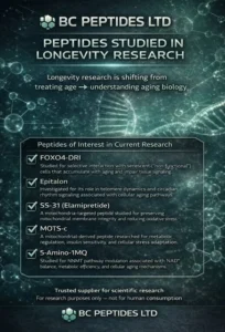 Third-Party Testing Process for Peptide Research Compounds: A Complete Laboratory Study
