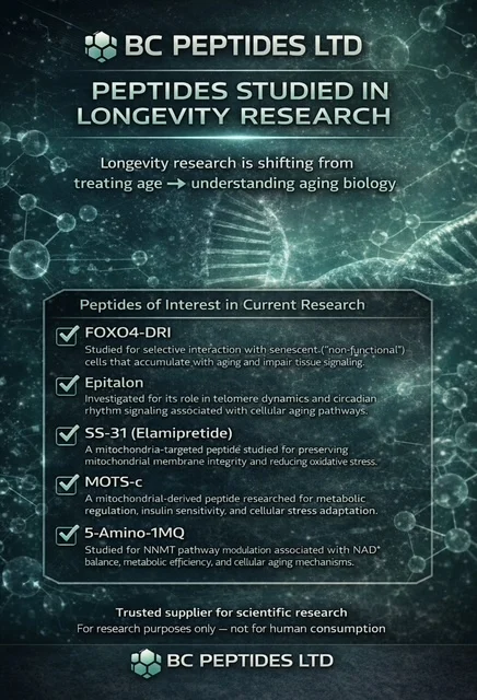 Third-Party Testing Process for Peptide Research Compounds: A Complete Laboratory Study