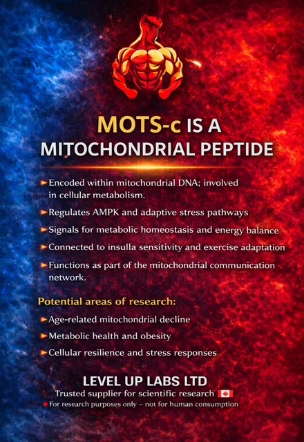 MOTS-c: Research into Mitochondrial Metabolism and Energy Regulation