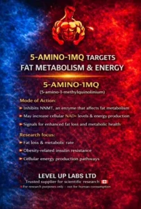 5-Amino-1MQ research poster on fat metabolism and cellular energy