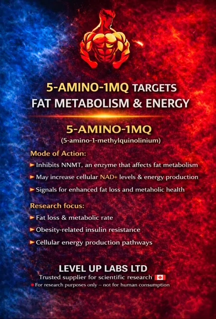 5-Amino-1MQ research poster on fat metabolism and cellular energy