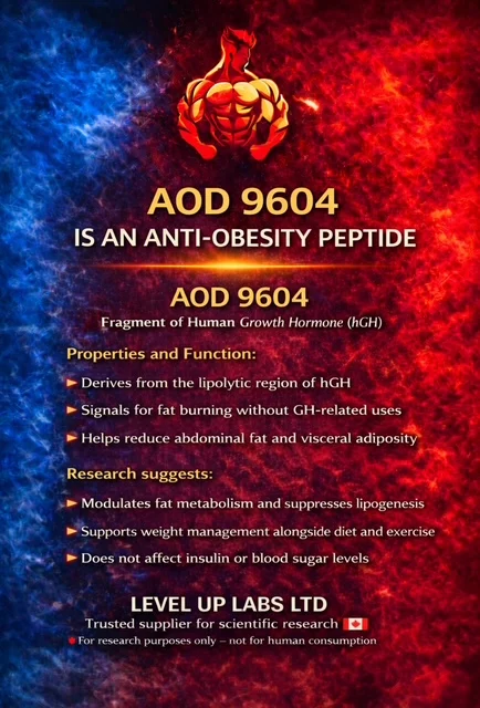 AOD 9604: Investigating Lipolysis and Adipose Tissue Metabolism