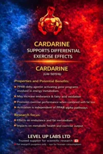 Ipamorelin: Research into Growth Hormone Secretion Stimulation