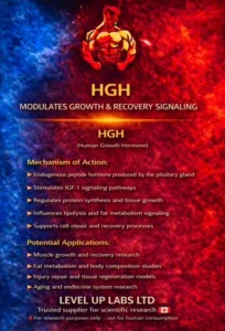 HGH: Research into the Physiological Effects of Human Growth Hormone