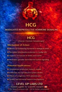 GHK-Cu: Research into Collagen Synthesis and Skin Repair