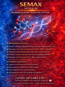Semax: Research into Neuroprotection and Cognitive Function