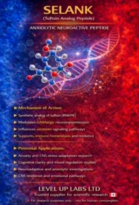 Selank: Research into Anxiety Regulation and Immune Function